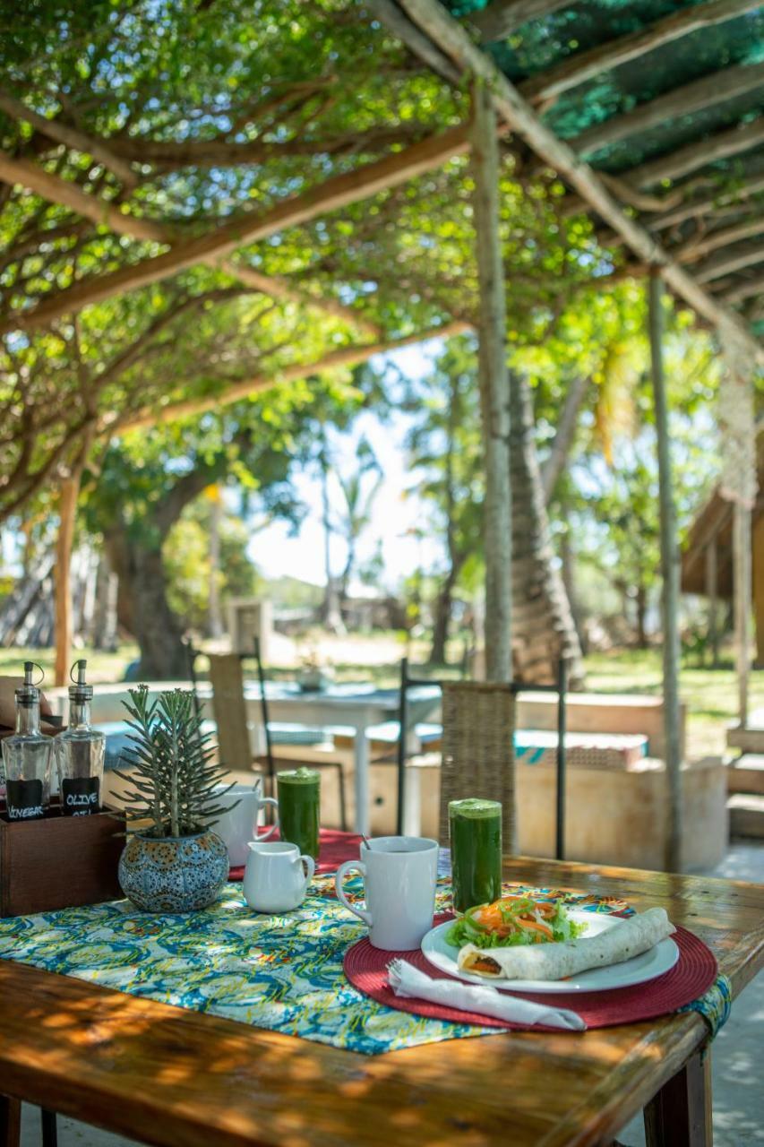 Turtle Cove Lodge And Yoga Shala Praia do Praia do Tofo Екстериор снимка