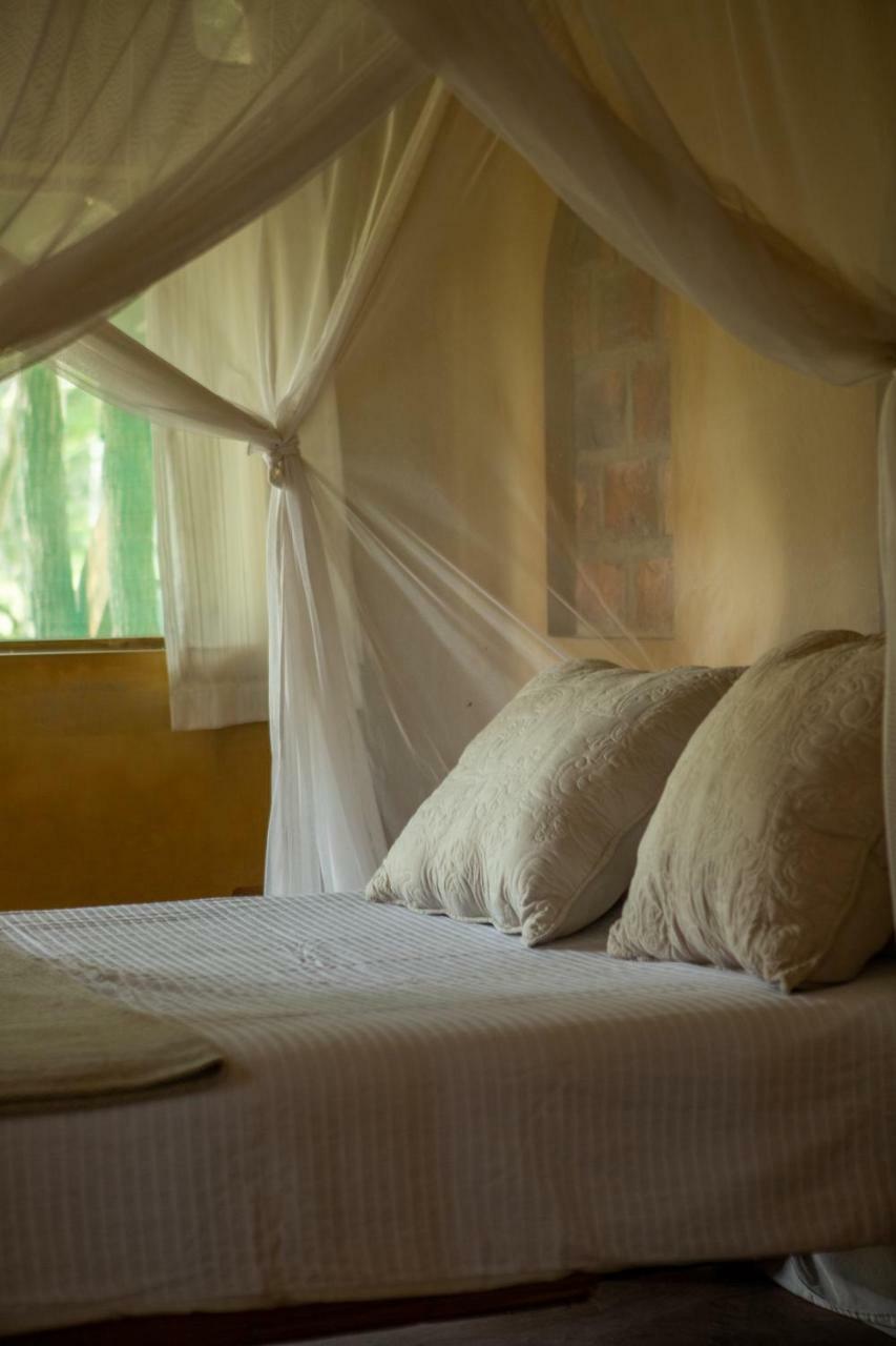Turtle Cove Lodge And Yoga Shala Praia do Praia do Tofo Екстериор снимка
