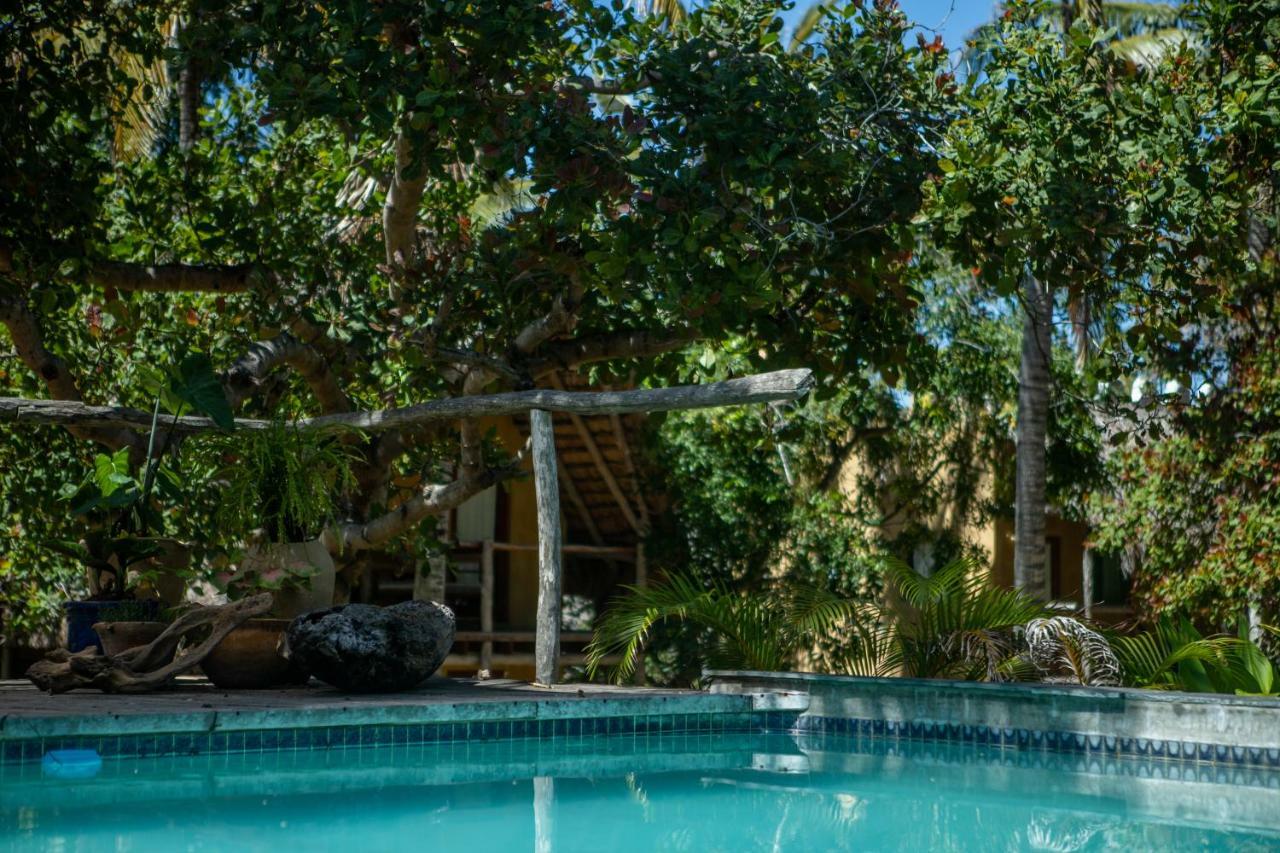 Turtle Cove Lodge And Yoga Shala Praia do Praia do Tofo Екстериор снимка